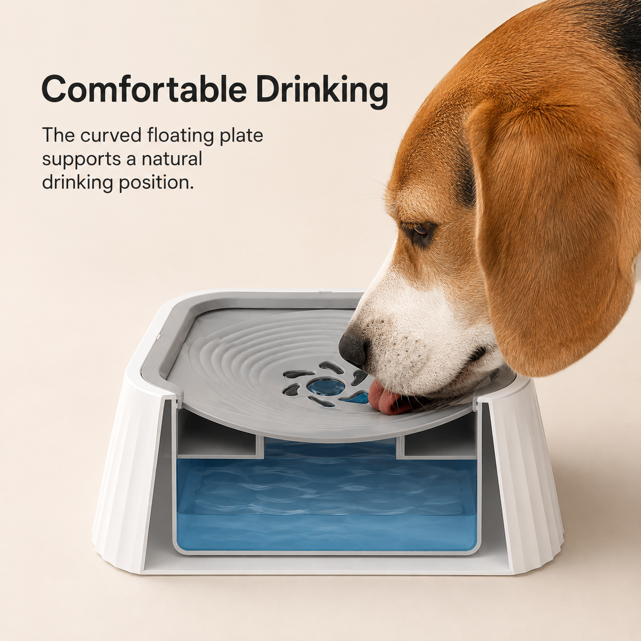 Aurevon No-Spill Pet Bowl